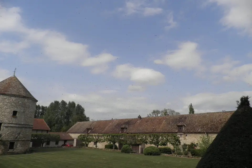 Domaine de Saint Germer — photo 2