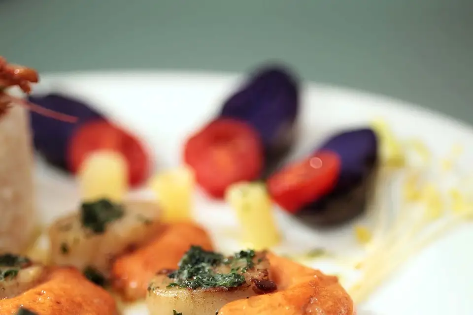 Les Délices du Chat — photo 9