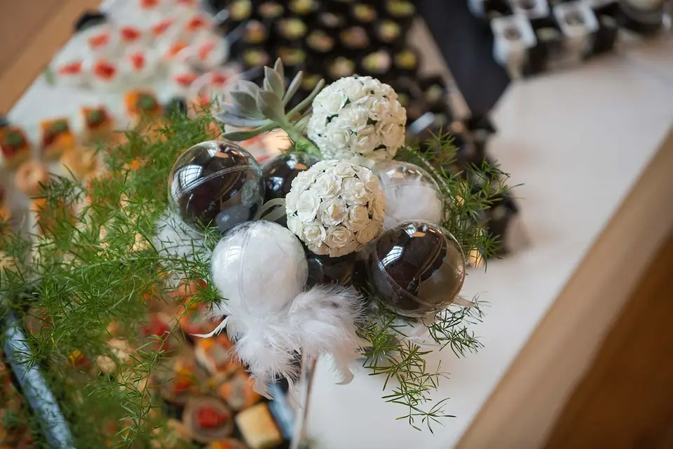 Les Délices du Chat — photo 6