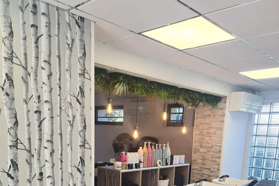 Bel 'Hair Coiffure — photo 5