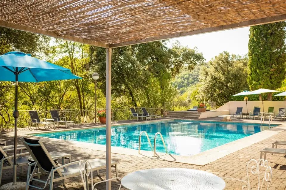 Les 3 Barbus — photo 6