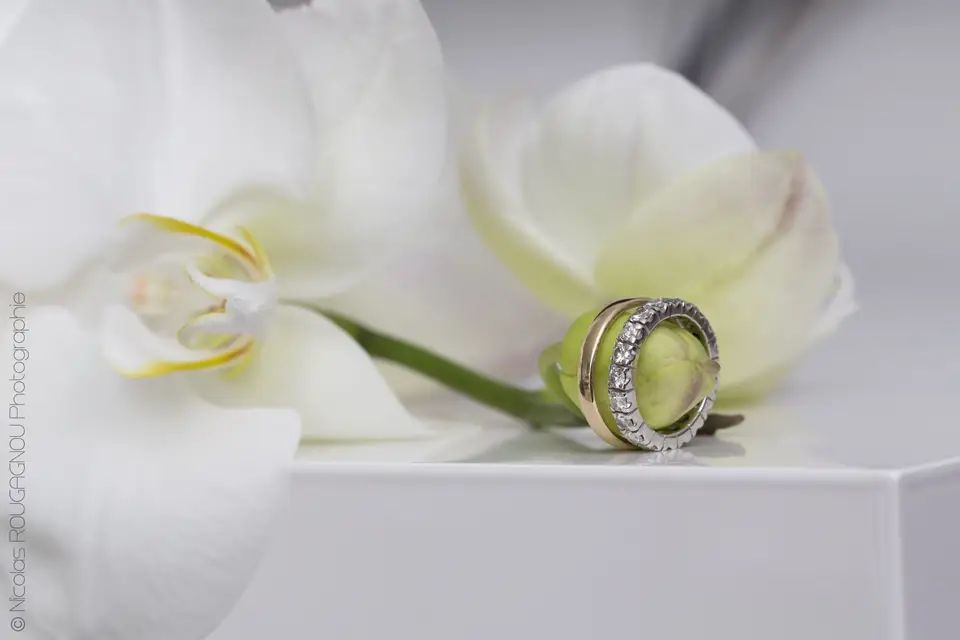 Nicolas Rougagnou Photographie