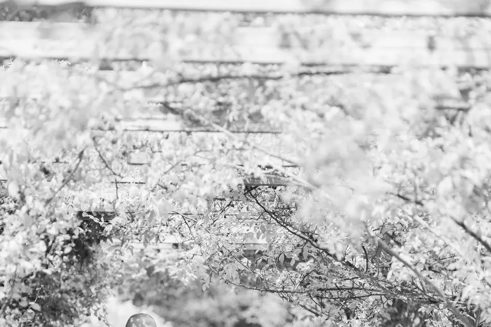 Agence Bajac — photo 6