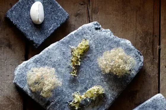 ROC-Catering — photo 6