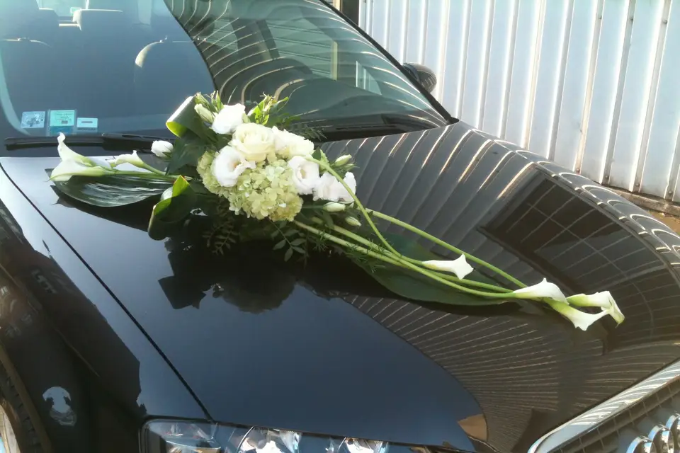 Des Fleurs Plein la Tête — photo 1