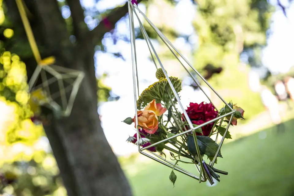 Des Fleurs Plein la Tête — photo 8