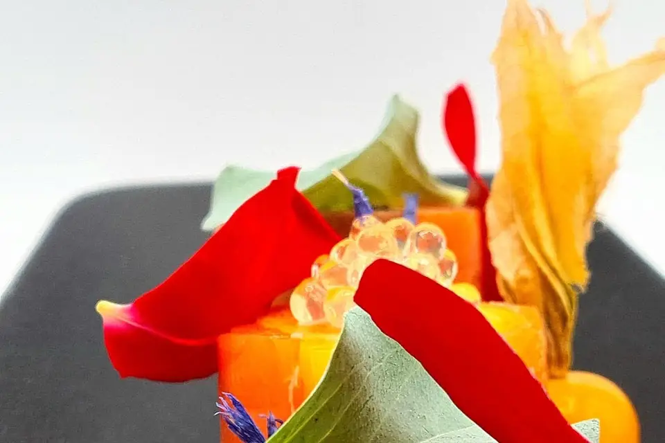 Cuisiner Créer Déguster — photo 6