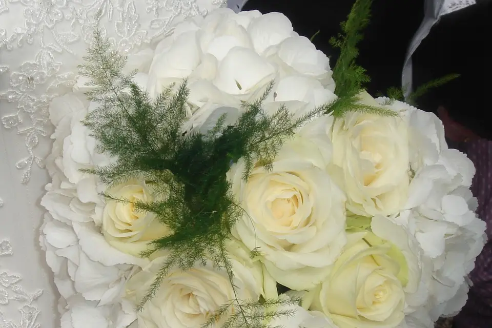 Alpes Luxury Cars — photo 7