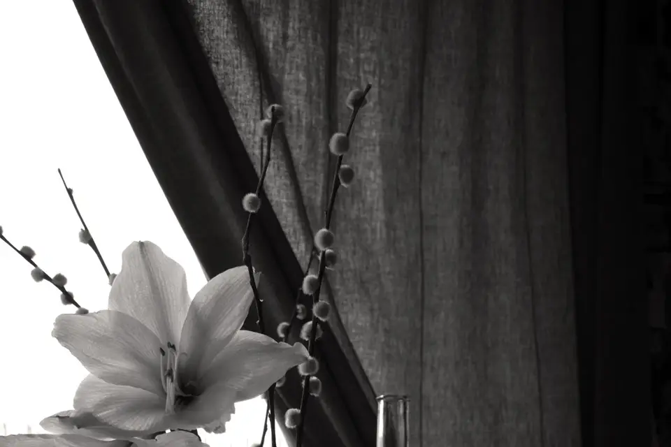 IMAG'inné vous — photo 3