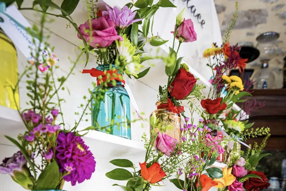 Agapanthe en Fleur — photo 7