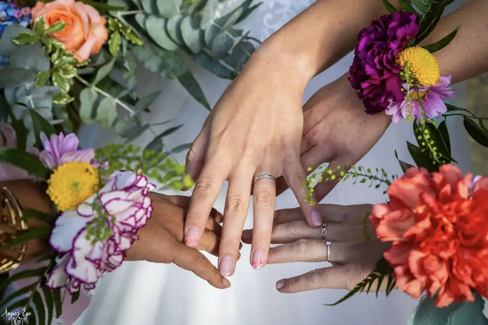 Agapanthe en Fleur — photo 5