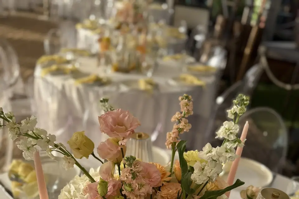 Oui planner — photo 3