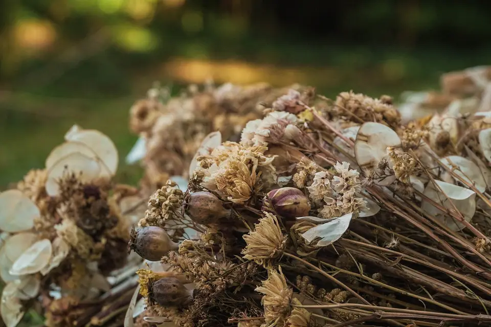 Decomariage 94 — photo 8