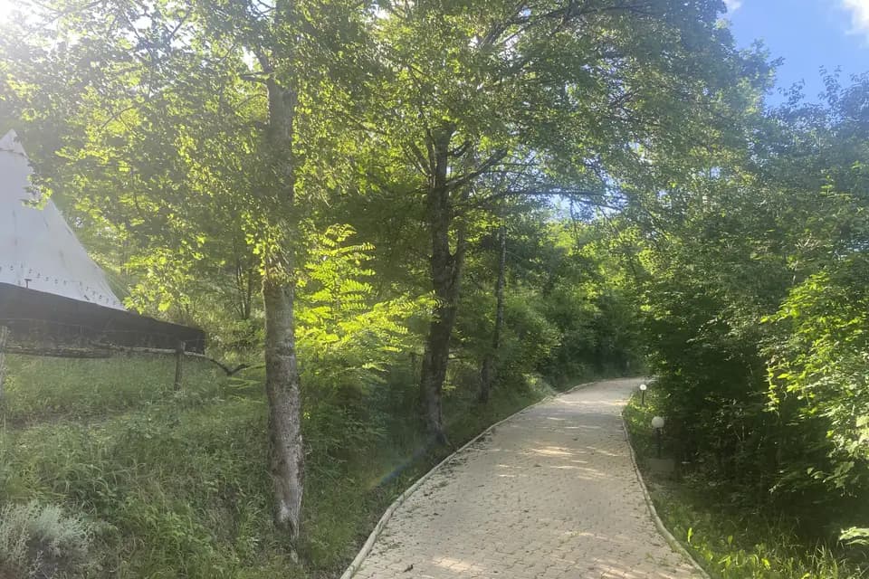 Clos des Garrigues — photo 7