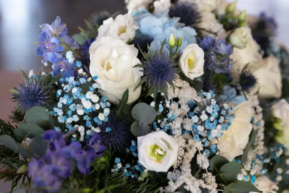 Noctevent — photo 8