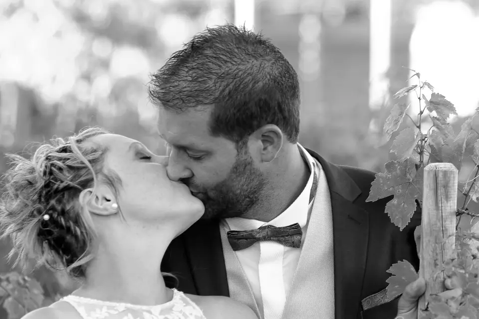 Studio Alain Bouault — photo 2