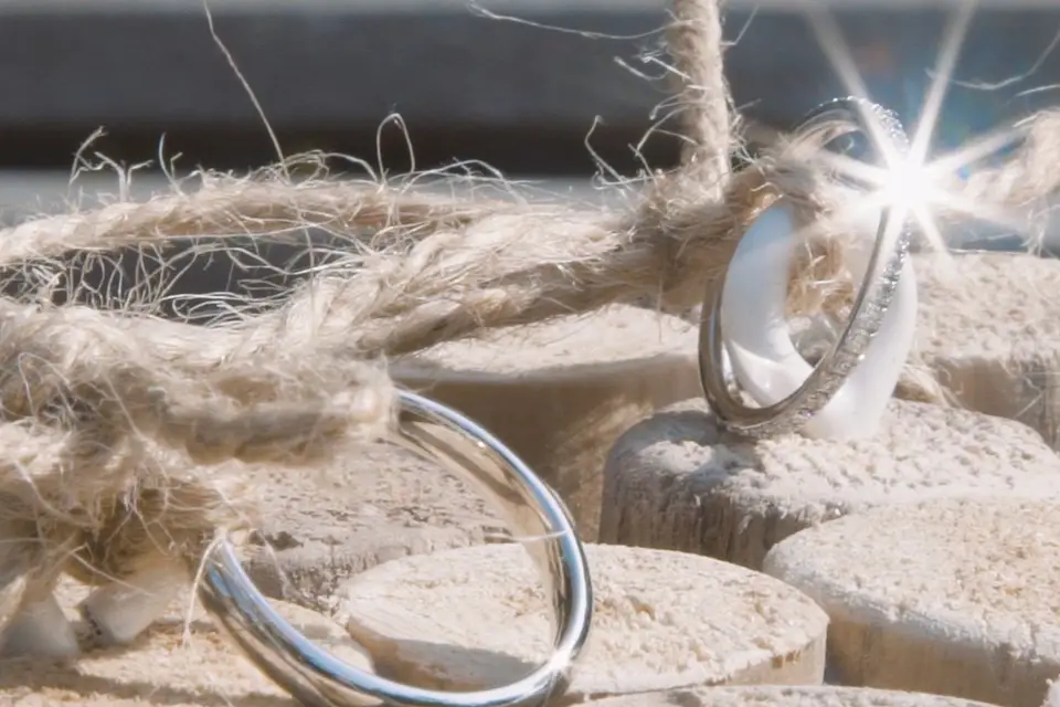 Tristan.B Visual — photo 4