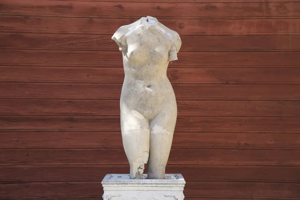 Mas du Domaine de Montcalm — photo 8