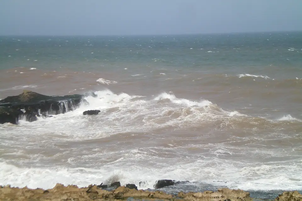 Passion Nomade — photo 3