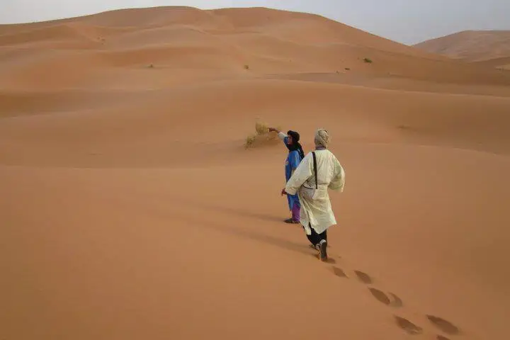 Passion Nomade — photo 1