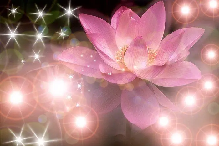 Passion Nomade — photo 2