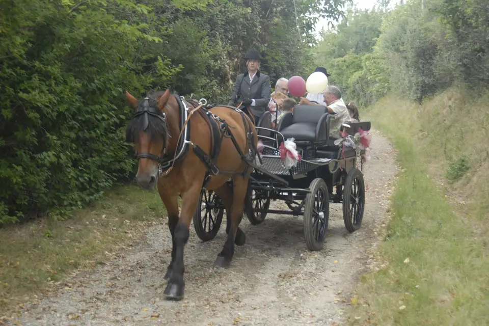 Hippo'n So — photo 5