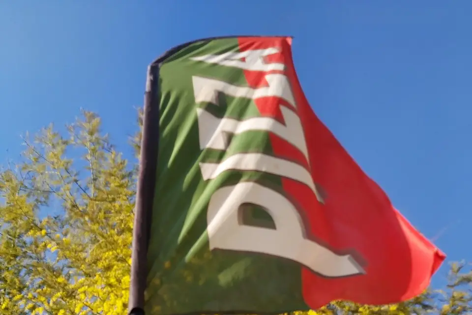 Pizza et compagnie — photo 6