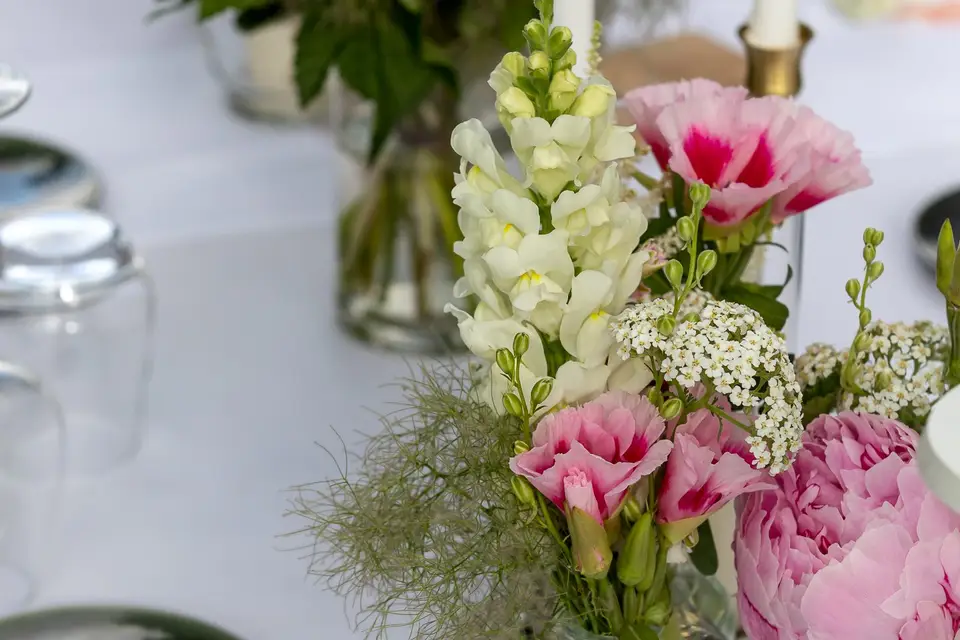 Posi Studio — photo 6