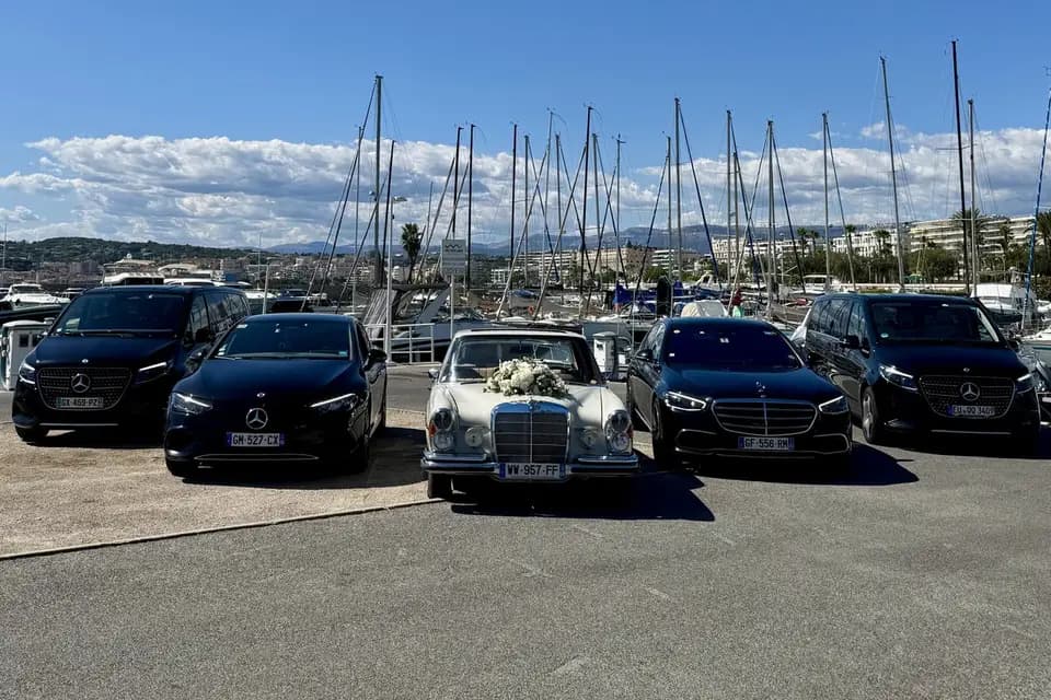 Settimio — photo 1