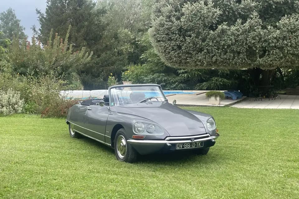 DS Collection — photo 3