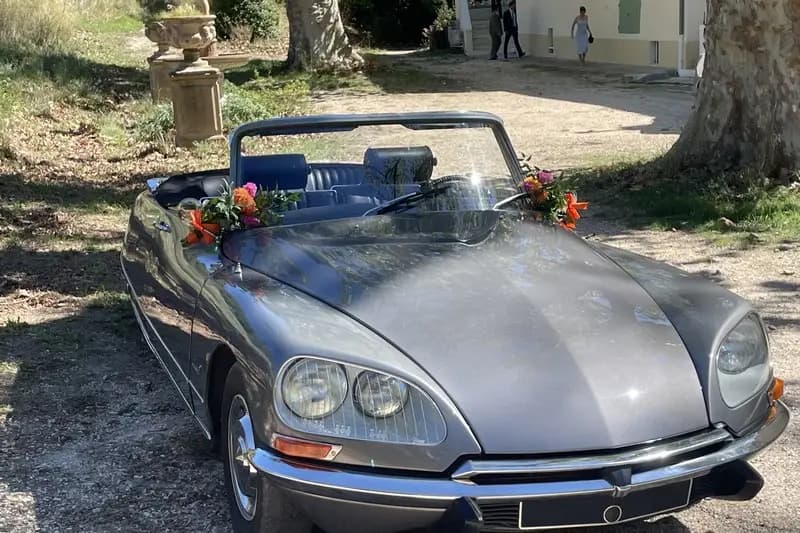 DS Collection — photo 1