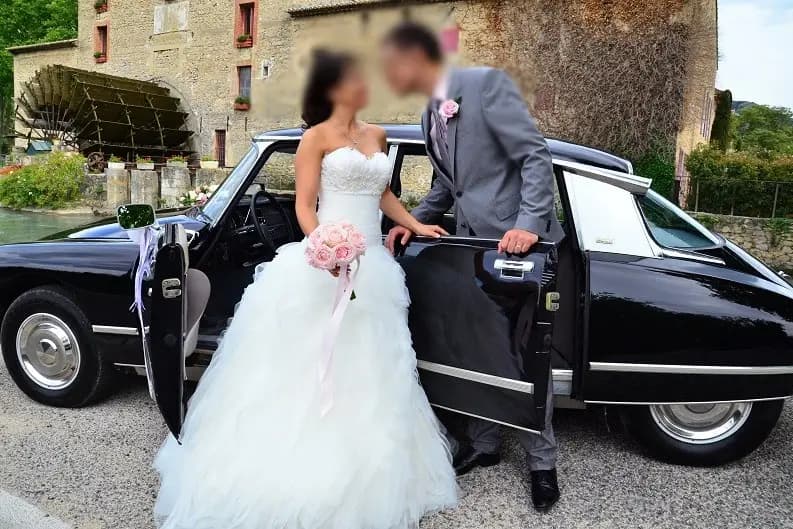 DS Collection — photo 6