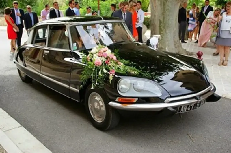 DS Collection — photo 8