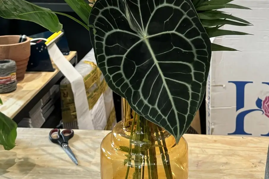 Frenchy Knot Events — photo 3