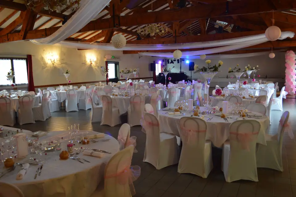 Carlo Animation — photo 6