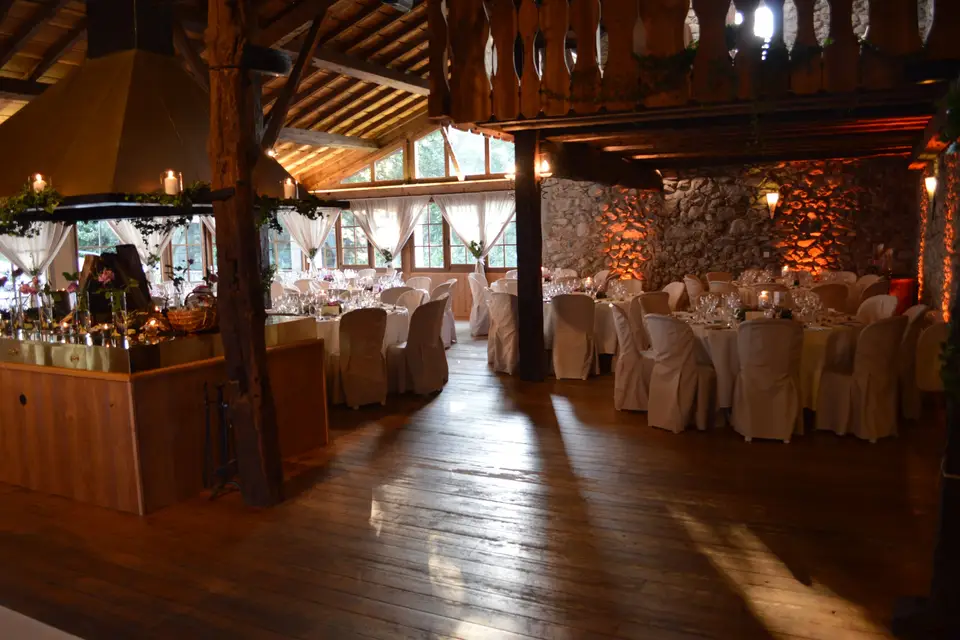 Carlo Animation — photo 8