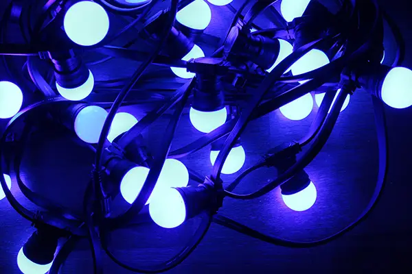 Ma Guinguette — photo 5