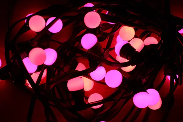 Ma Guinguette — photo 1