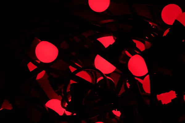 Ma Guinguette — photo 4