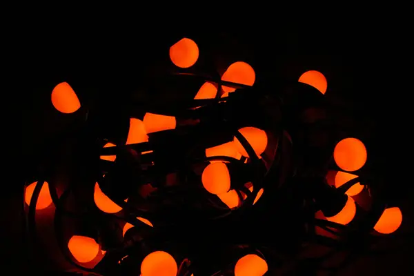 Ma Guinguette — photo 7