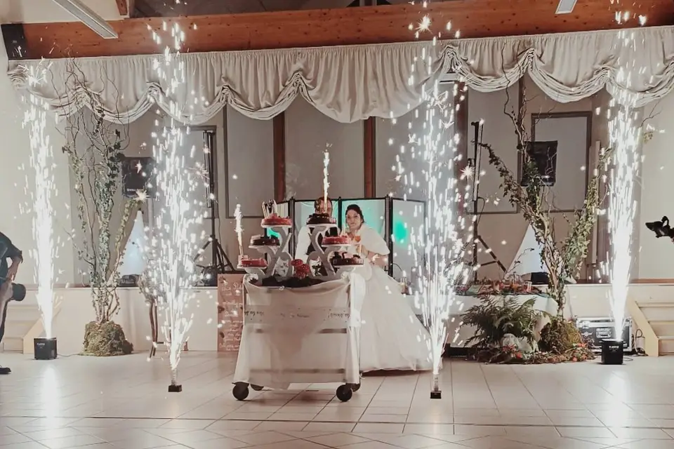 Al'x Animation — photo 7