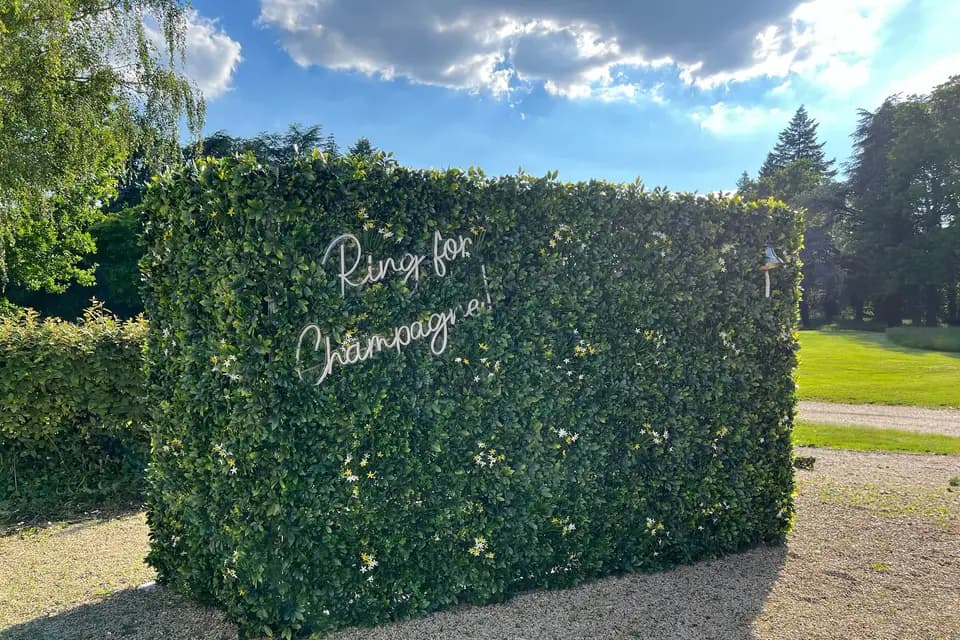 Magic in the Air — photo 5