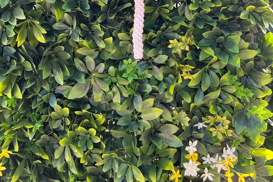 Magic in the Air — photo 6