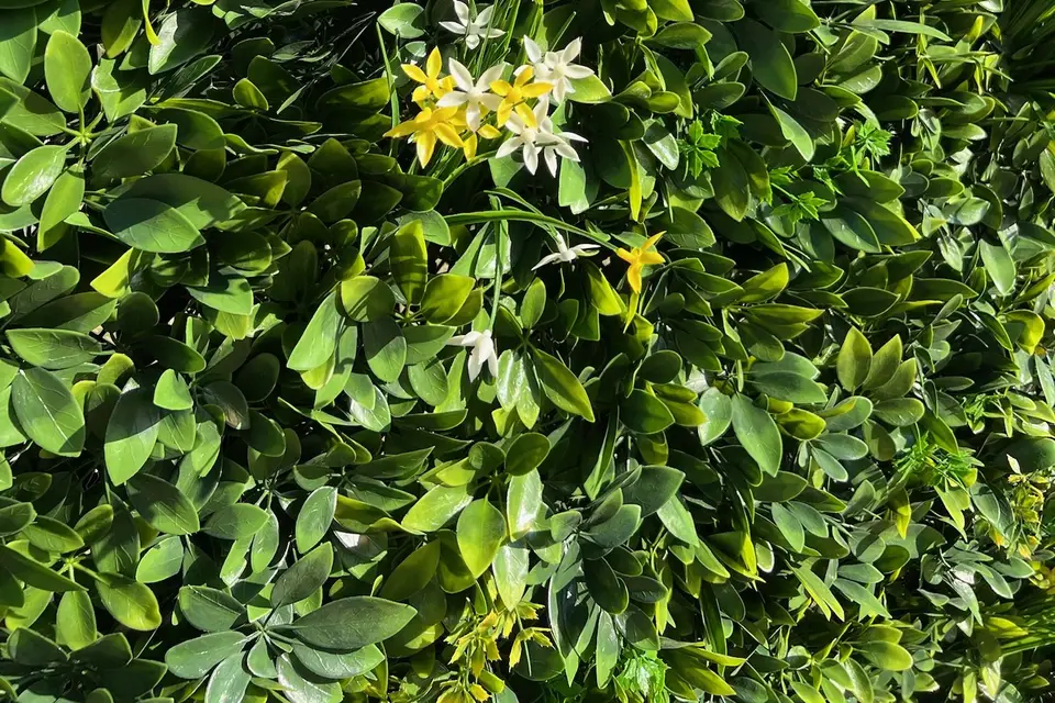 Magic in the Air — photo 4