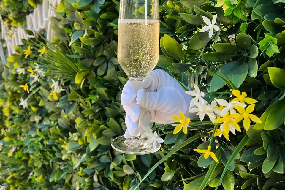 Magic in the Air — photo 7