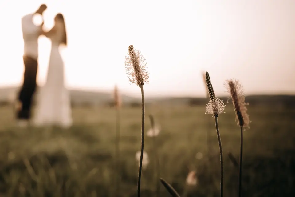 Cédric Delelis — photo 5