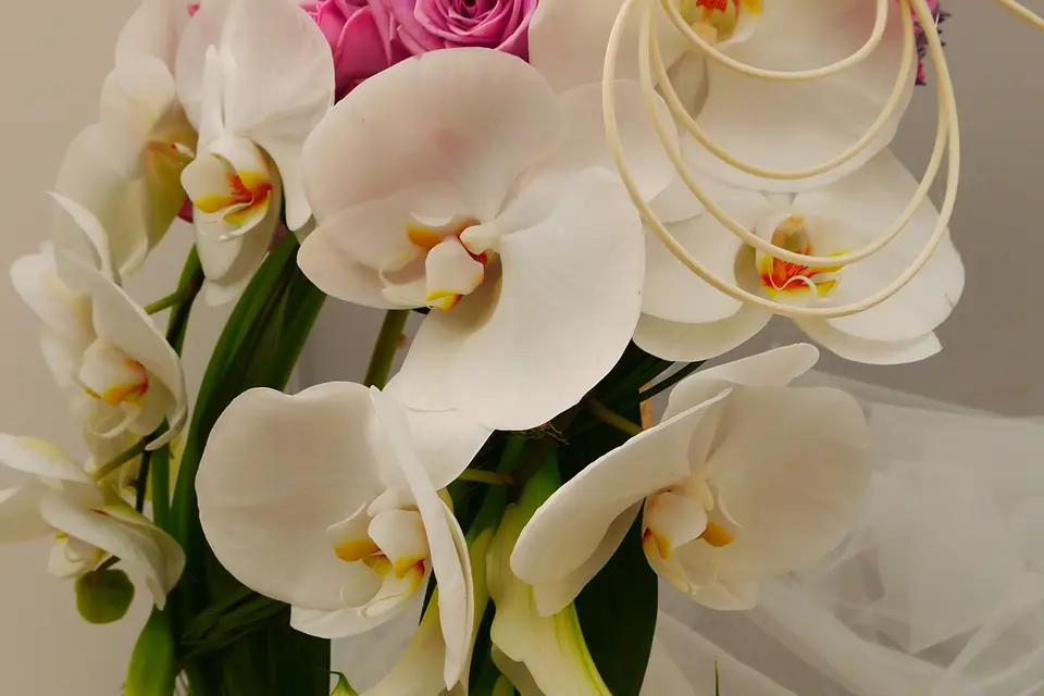 Arnaud Lechantre — photo 3