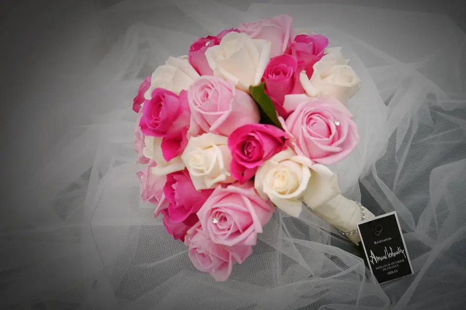 Arnaud Lechantre — photo 4