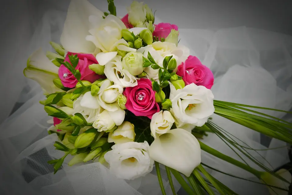 Arnaud Lechantre — photo 8