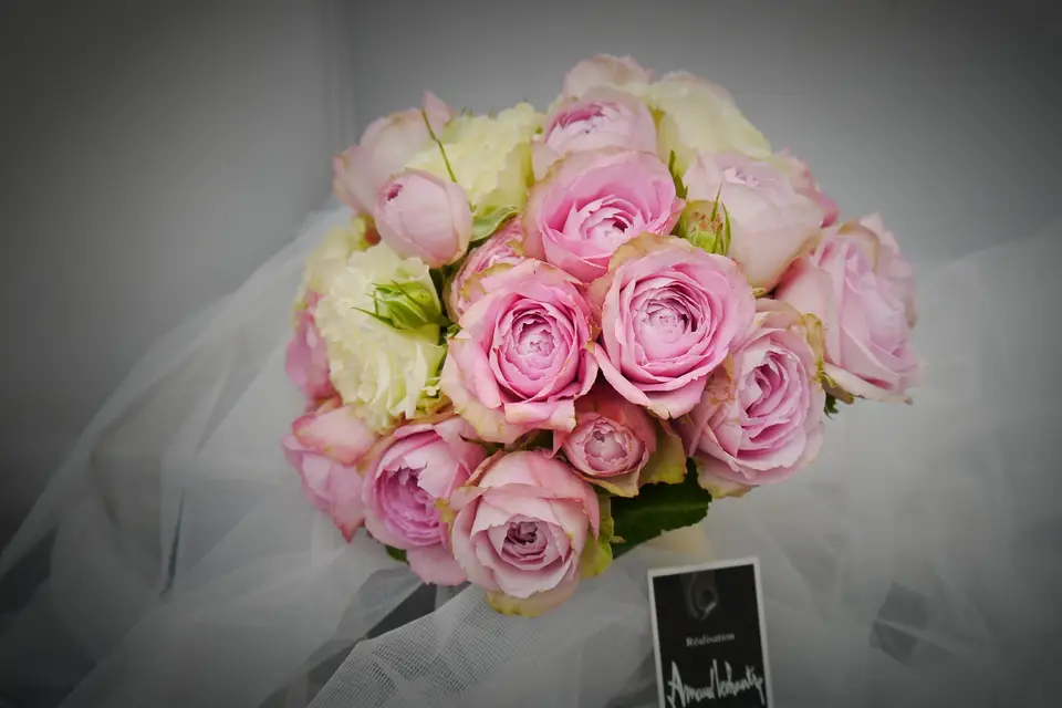 Arnaud Lechantre — photo 7